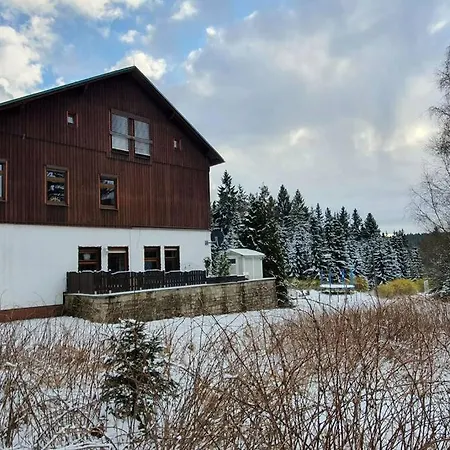 Apartment Erzgrün - Aktiv Und Entspannt Im Grünen